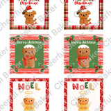 Cookie Decorating Box: The Cheerful Box Mini Assortment