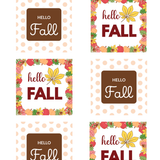 Cheerful Box Club: The Cheerful Box assortment